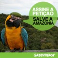 CLIQUE AQUI E ASSINE A PETIÇÃO - SALVE A AMAZÔNIA